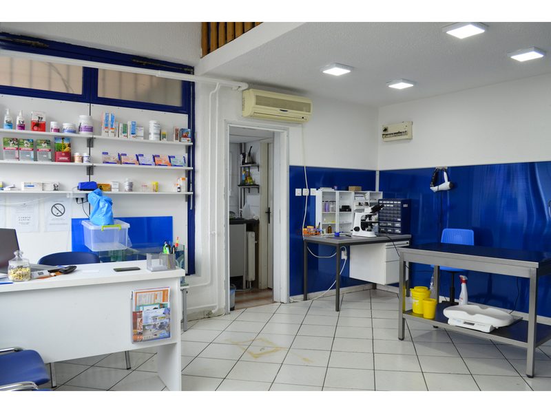Unutrašnjost veterinarske ambulante Arsić Vet